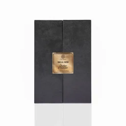 Christian Provenzano