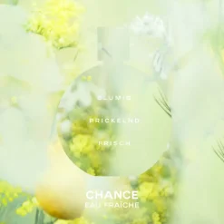 EAU DE TOILETTE ZERSTÄUBER