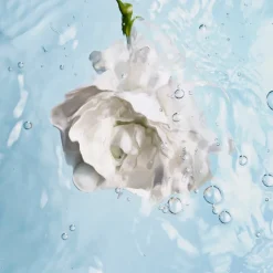 FEUCHTIGKEITSSPENDEND AUSGLEICHEND AUFPOLSTERND