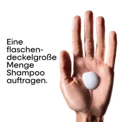 L'Oréal Professionnel