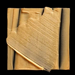 L'Oréal Professionnel