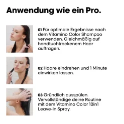 L'Oréal Professionnel