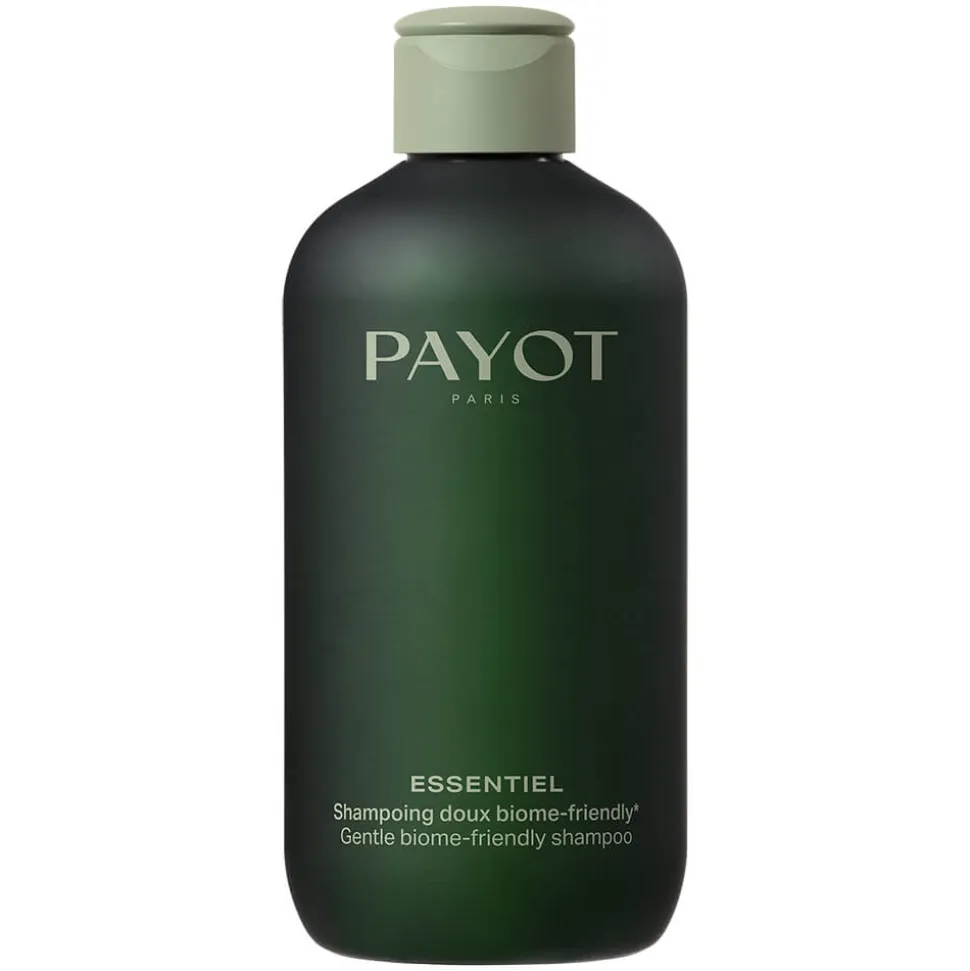 Payot