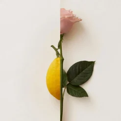 Rosa Limone Extrait de Parfum