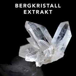 Sebastian Professional