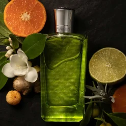 THE MERCHANT OF VENICE