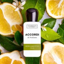 THE MERCHANT OF VENICE